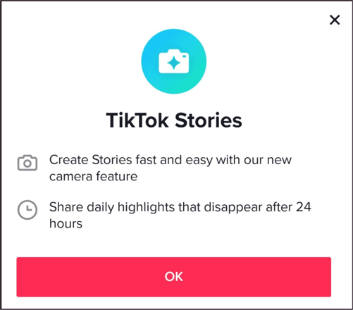 tiktok stories details