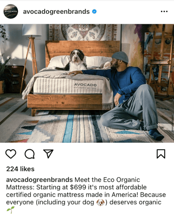 dog and person on avocado green mattress