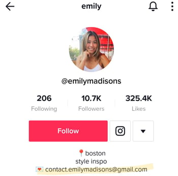 tiktok influencer bio example