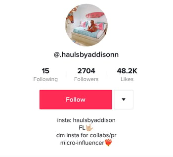 tiktok influencer bio