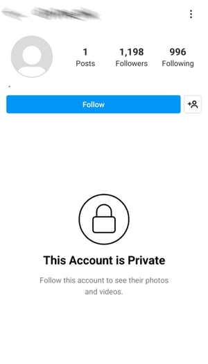fake instagram account example