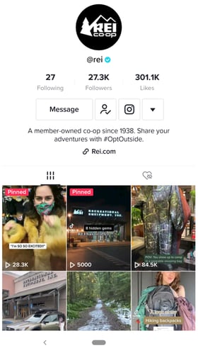 REI TikTok profile