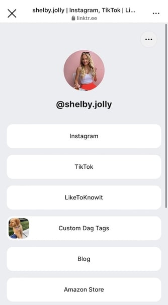 Instagram bio link example