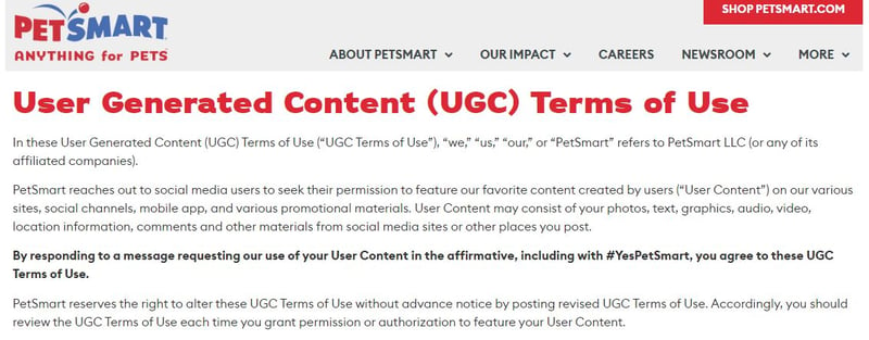 UGC terms and conditions example