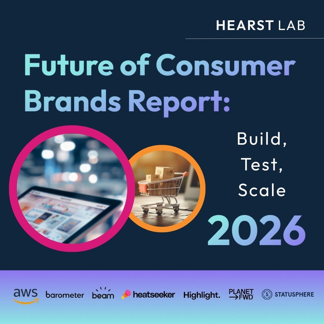 Consumer Brands Report