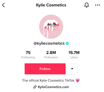 tiktok ideas kyle cosmetics