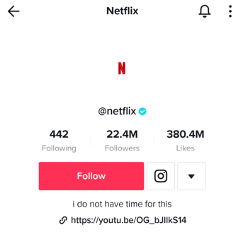 tiktok ideas netflix bio