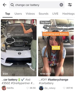 tiktok search query example