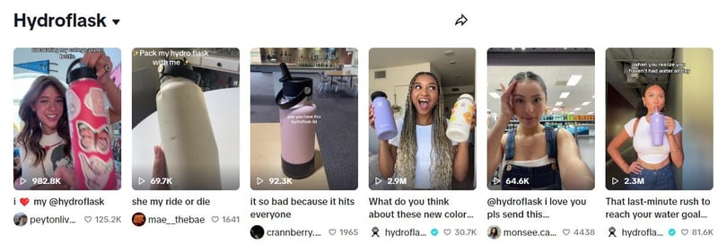 hydroflask community example on TikTok