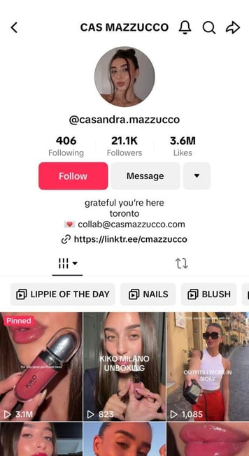 TikTok creator example